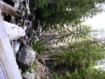 Priest Lake Area Photographs (694)