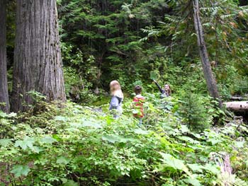 Priest Lake Area Photographs (700)