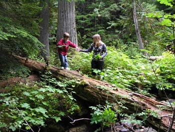 Priest Lake Area Photographs (702)