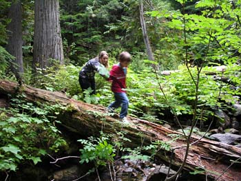 Priest Lake Area Photographs (703)