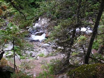 Priest Lake Area Photographs (704)