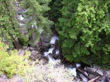 Priest Lake Area Photographs (710)