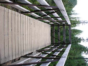 Priest Lake Area Photographs (715)
