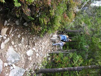 Priest Lake Area Photographs (717)