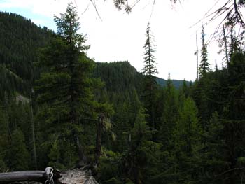 Priest Lake Area Photographs (719)