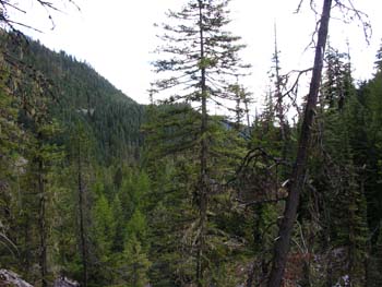 Priest Lake Area Photographs (720)