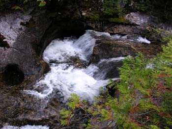 Priest Lake Area Photographs (722)