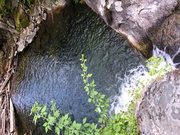 Priest Lake Area Photographs (725)