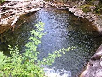 Priest Lake Area Photographs (726)