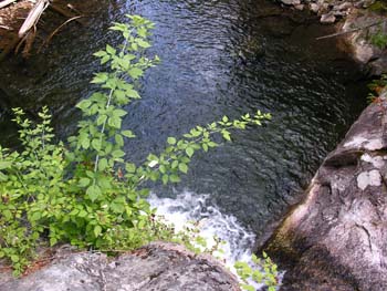 Priest Lake Area Photographs (727)
