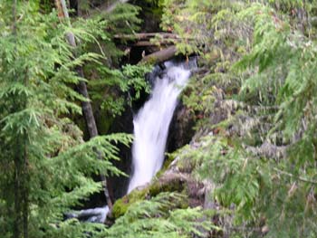 Priest Lake Area Photographs (733)