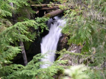 Priest Lake Area Photographs (738)