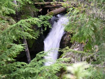 Priest Lake Area Photographs (739)