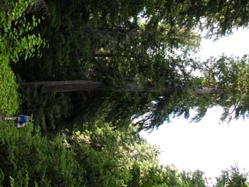 Priest Lake Area Photographs (750)