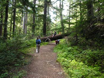 Priest Lake Area Photographs (769)