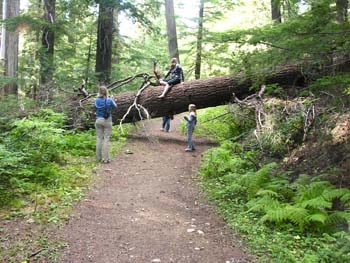 Priest Lake Area Photographs (770)