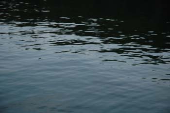 Priest Lake Area Photographs (79)