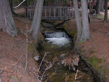 Priest Lake Area Photographs (804)