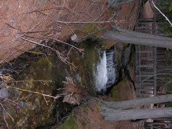 Priest Lake Area Photographs (805)