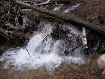 Priest Lake Area Photographs (806)