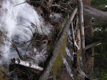 Priest Lake Area Photographs (807)