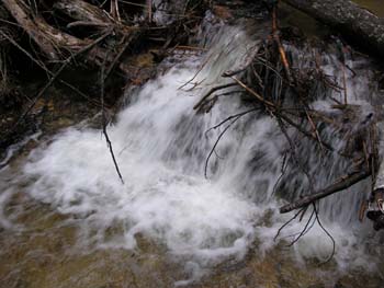Priest Lake Area Photographs (808)