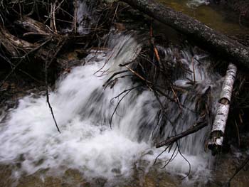 Priest Lake Area Photographs (809)