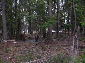 Priest Lake Area Photographs (814)