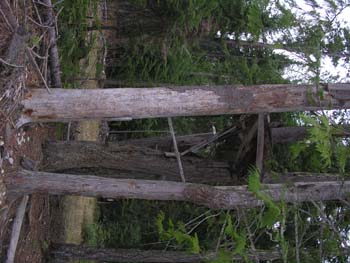 Priest Lake Area Photographs (815)