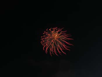 Priest Lake Area Photographs (824)