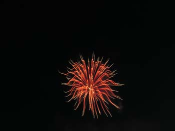 Priest Lake Area Photographs (827)