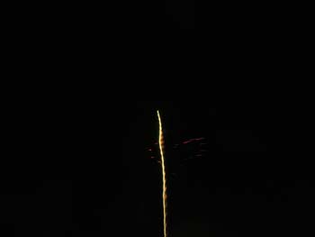 Priest Lake Area Photographs (838)