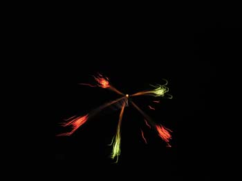 Priest Lake Area Photographs (842)