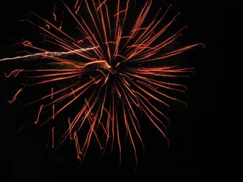 Priest Lake Area Photographs (847)