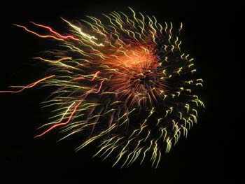Priest Lake Area Photographs (851)