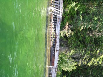 Priest Lake Area Photographs (894)