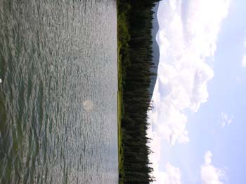 Priest Lake Area Photographs (919)