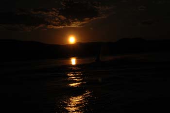 Priest Lake Area Photographs (92)