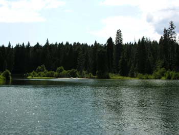 Priest Lake Area Photographs (926)