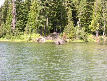 Priest Lake Area Photographs (938)