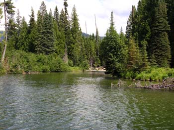 Priest Lake Area Photographs (939)