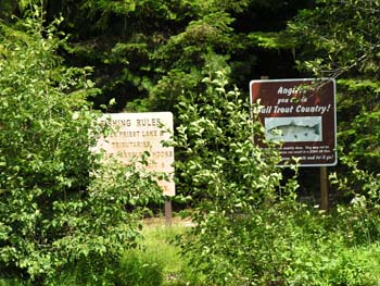 Priest Lake Area Photographs (961)