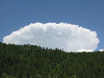 Priest Lake Area Photographs (976)