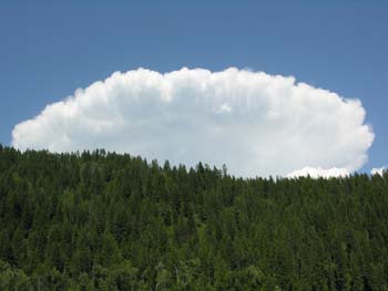 Priest Lake Area Photographs (977)