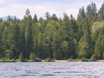 Priest Lake Area Photographs (982)
