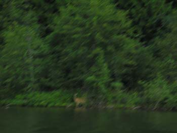 Priest Lake Area Photographs (992)