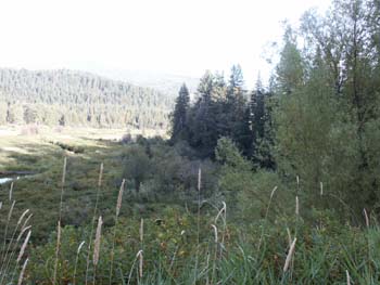 Priest Lake Scenes (147)