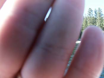 Priest Lake Scenes (179)