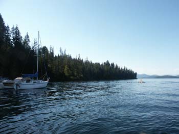 Priest Lake Scenes (231)