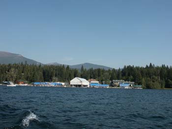 Priest Lake Scenes (74)